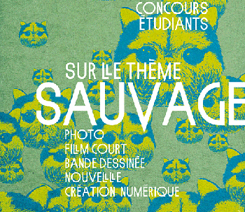 Nouvelles, BD, courts métrages, photo, création numérique : participez aux concours du Crous