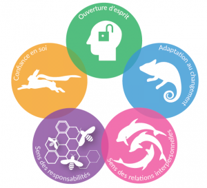 AKI mobility : un outil pour valoriser votre expérience de mobilité à l'étranger