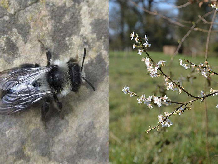 Concours photo sur la biodiversité