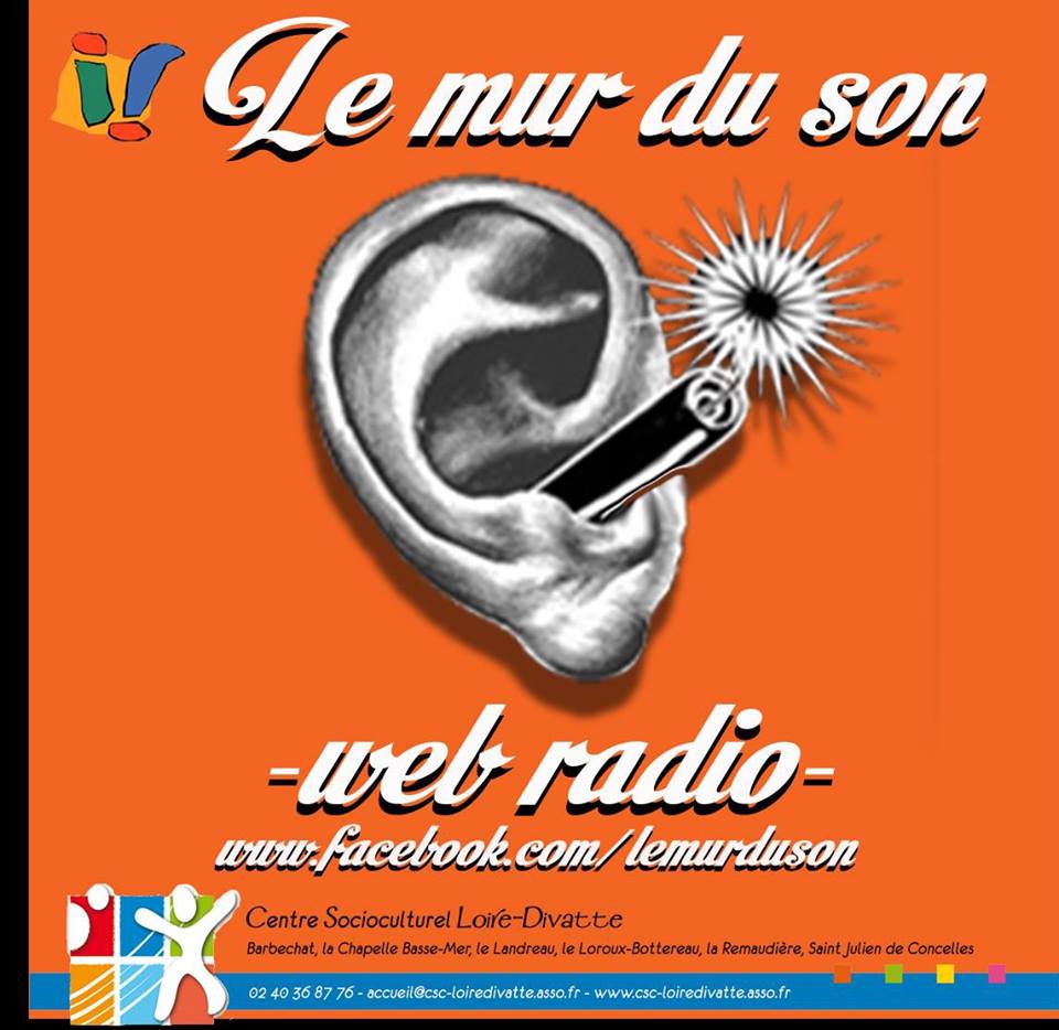 Stages de découverte de la radio dans le cadre de la webradio "le Mur du son" – PIJ Loire-Divatte