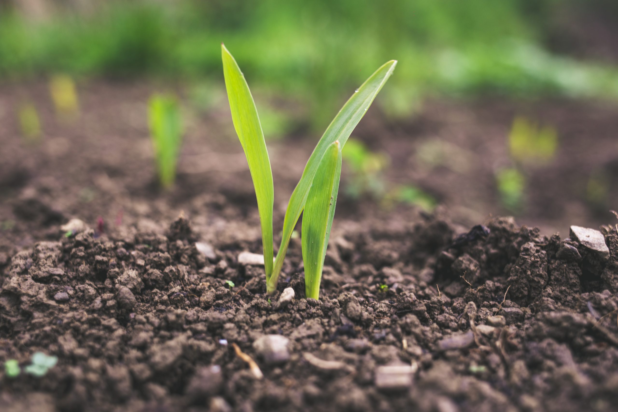 Découverte des métiers agricoles