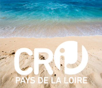 Fermeture estivale de l'accueil du CRIJ du 1er au 15 août
