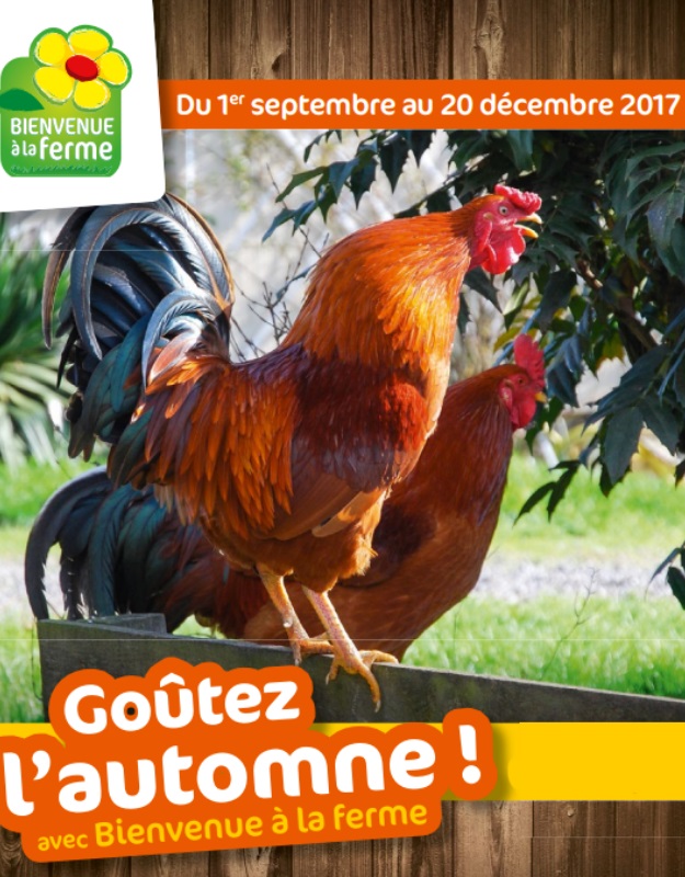 Goûtez l'automne : les agriculteurs vous ouvrent leurs fermes !
