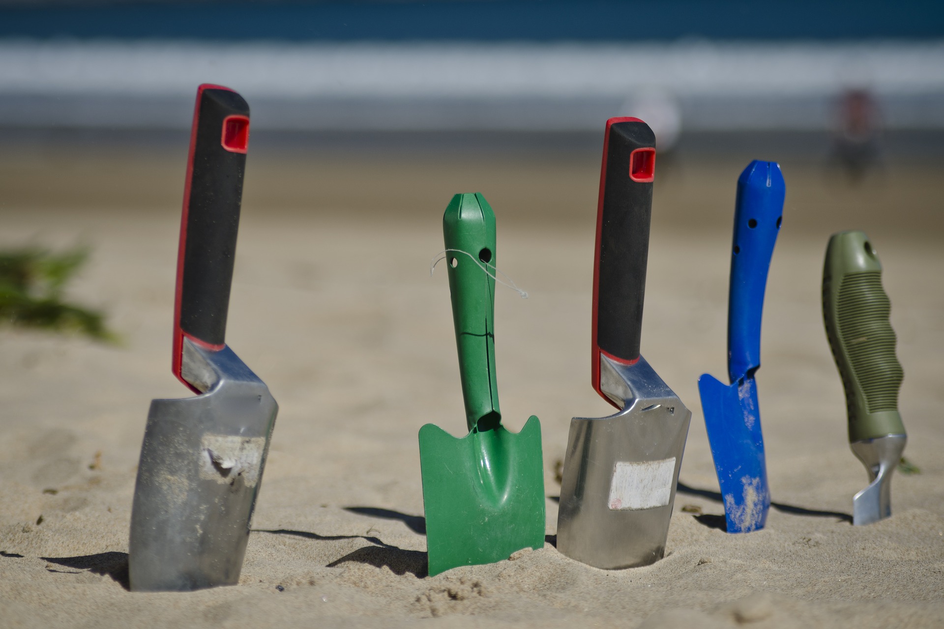 Propositions de chantiers bénévoles en Pays de la Loire durant l’été 2021