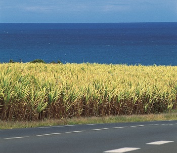 Objectif vacances, un nouveau site d'aide au départ en vacances en Pays de la Loire