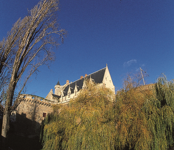 Participez à la réalisation de courts-métrages en Pays de la Loire avec Graine d’Europe !