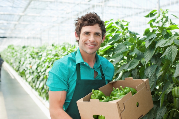 CDD, CDI, contrats saisonniers…tour d’horizon des offres d'emploi