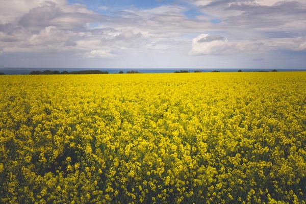 Prolongation de l'aide au logement pour les saisonniers agricoles