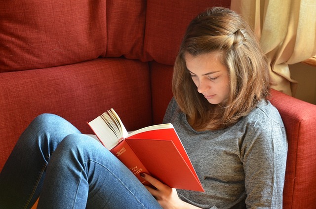 Etudier à l'étranger en étant mineur
