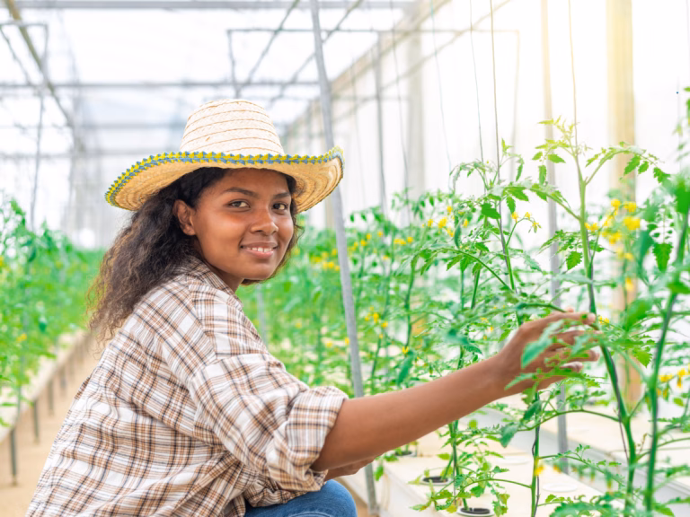Le bac professionnel agricole