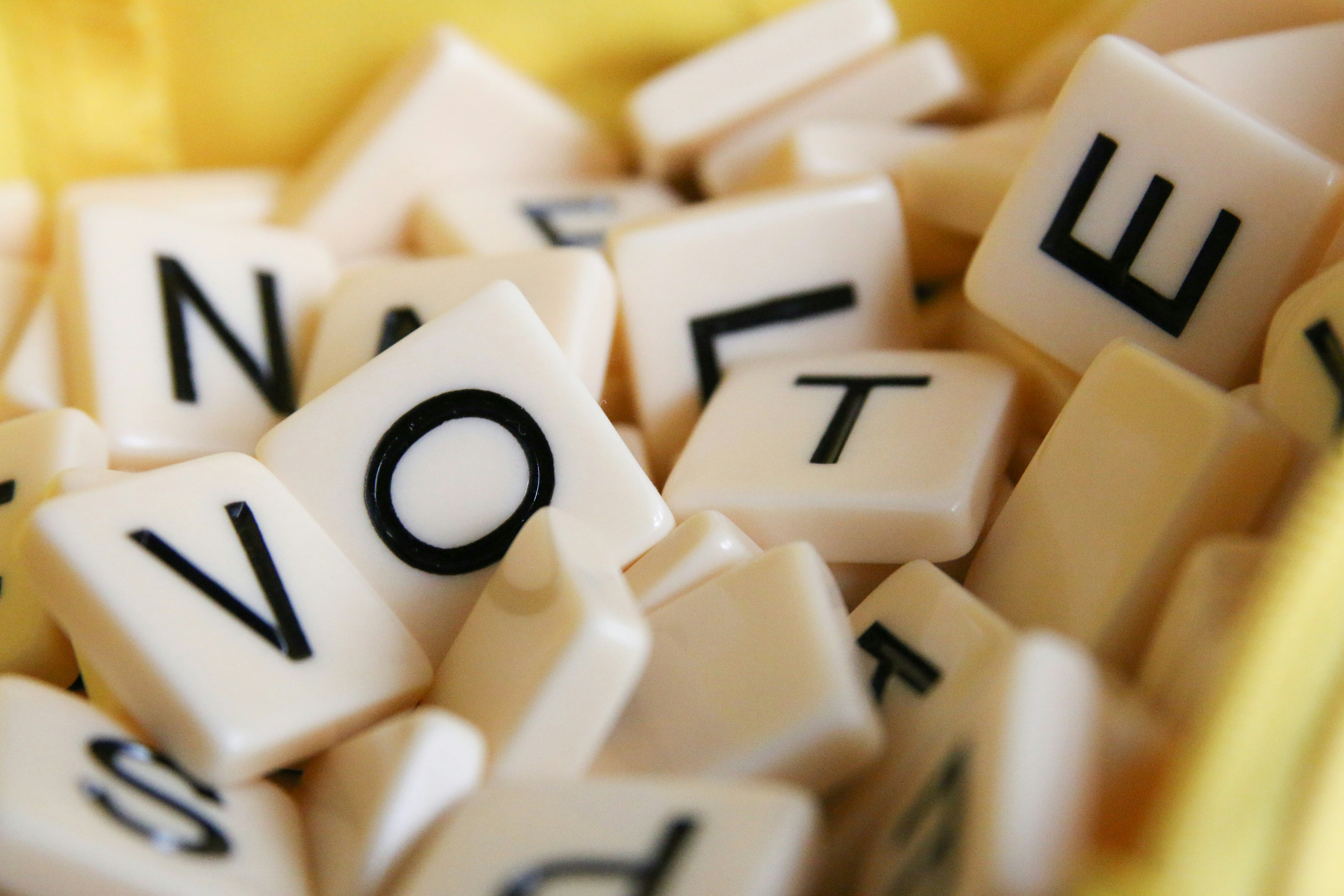Élections législatives : comment voter ?