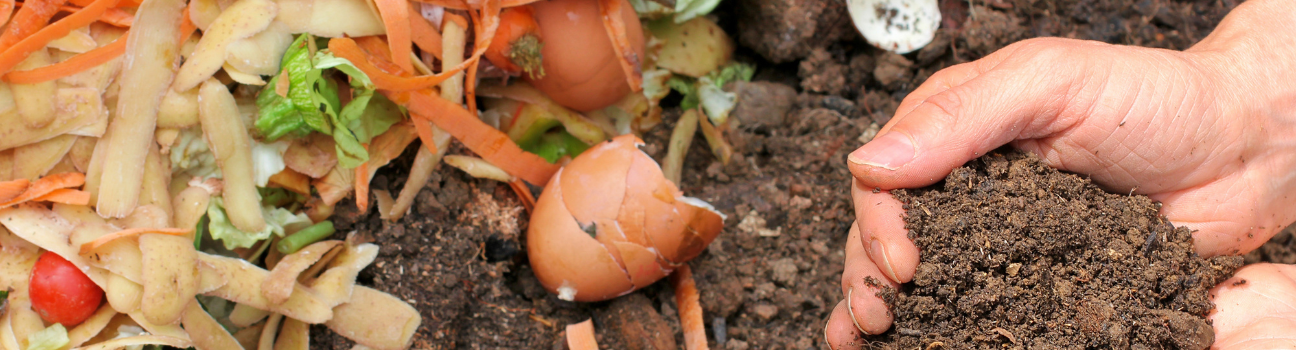 Mieux manger, moins gaspiller, moins polluer ?