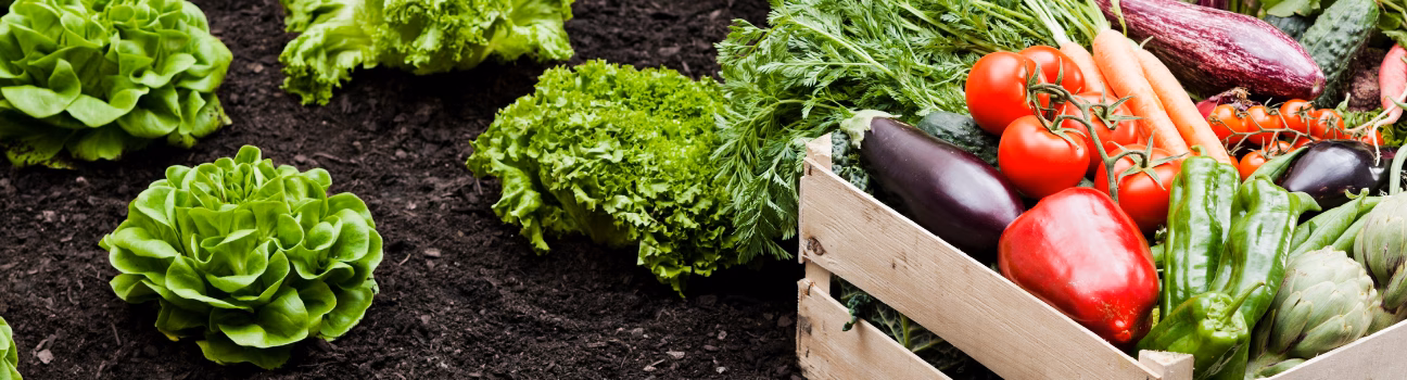 Jobopré :  l&rsquo;appli des jobs dans l&rsquo;agriculture